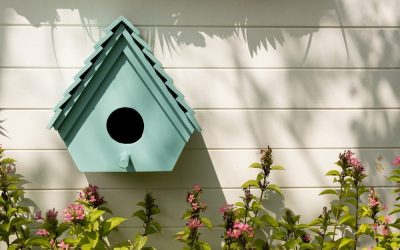 Bird Houses: They deserve their own Custom Built Home