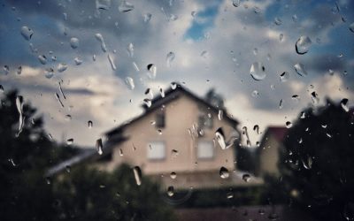 Protecting Your Home from Septic Disasters