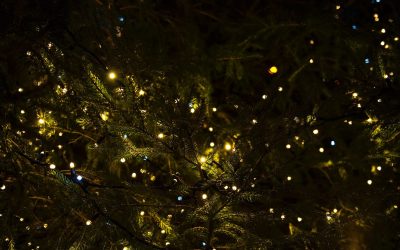 Holiday Entertaining In Custom Home