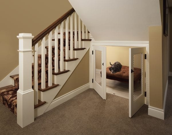 picture of a dog home by the stairs