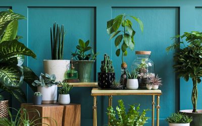 Custom Home Building Trends for 2022
