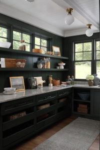 KitchenPantry1 | The Cottage, Remodeled: Evolving With the People Who Call It Home